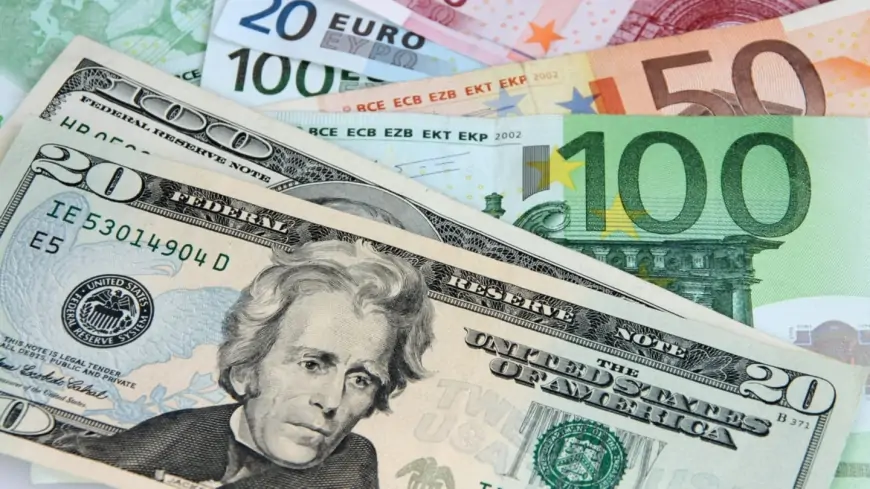 Euro dhe dollari prekin nivelin më të ulët për këtë vit