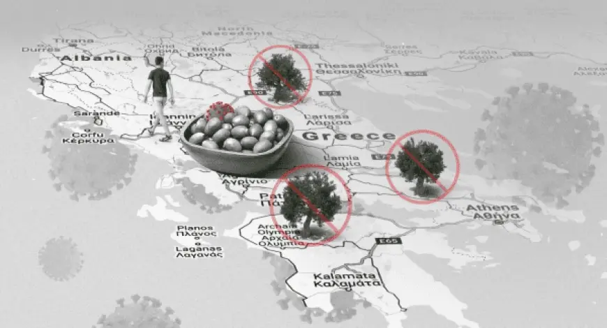 Pandemia mund të rezultojë e favorshme për punëtorët sezonalë shqiptarë në Greqi